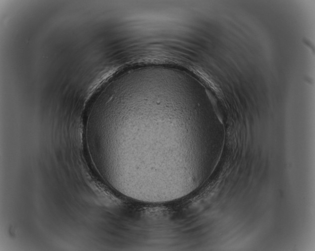 X0000091650446200709131453