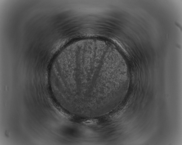 X0000091650447200709131453