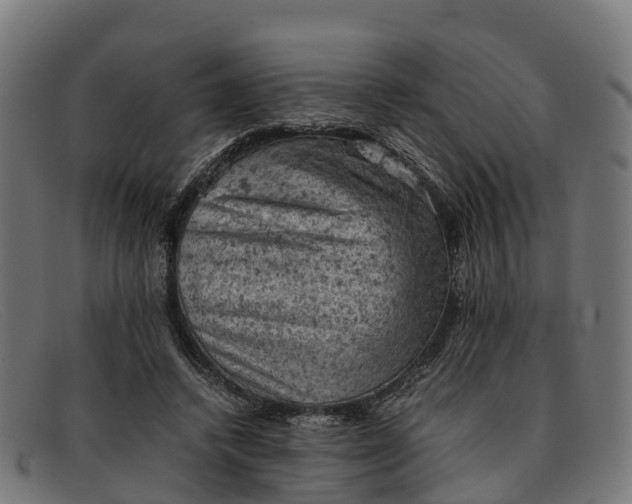 X0000091650448200709131453