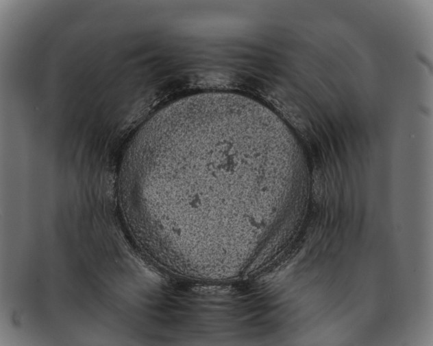 X0000091650449200709131453