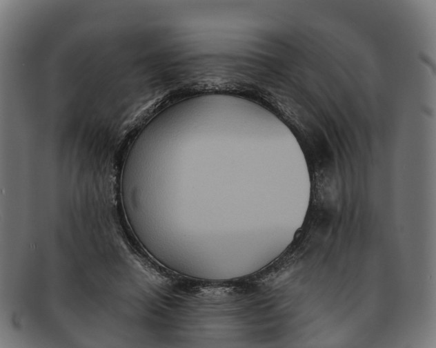 X0000091650450200709131453