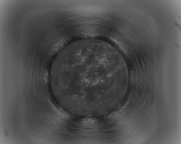 X0000091650451200709131453