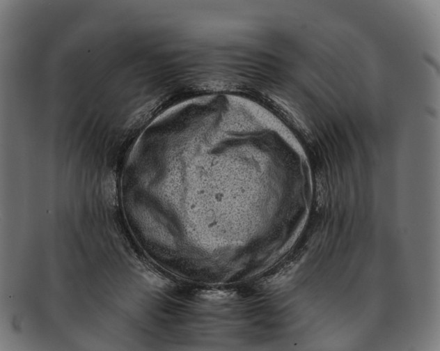 X0000091650453200709131453