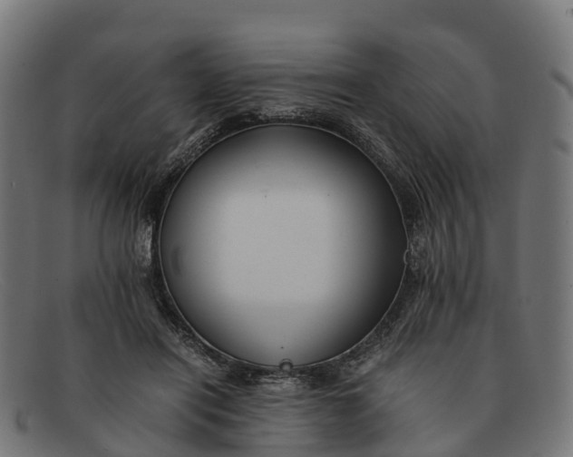 X0000091650454200709131453