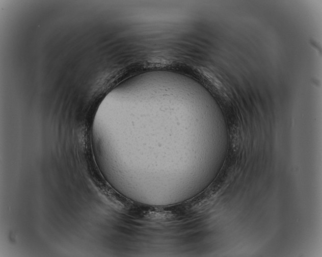 X0000091650455200709131453