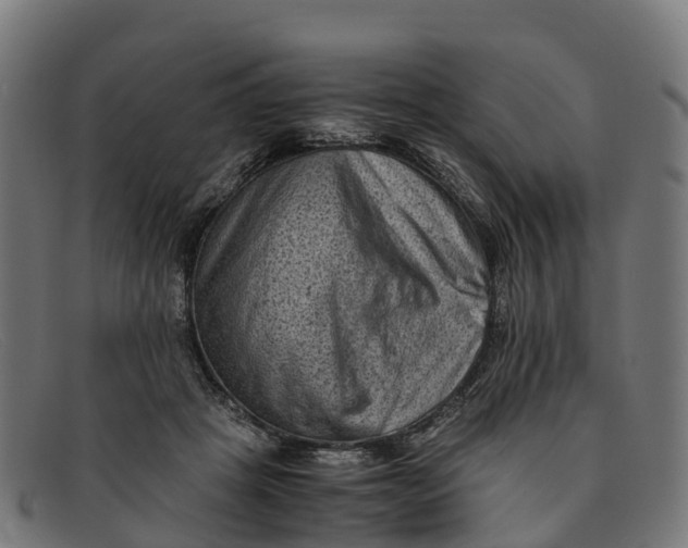 X0000091650457200709131453