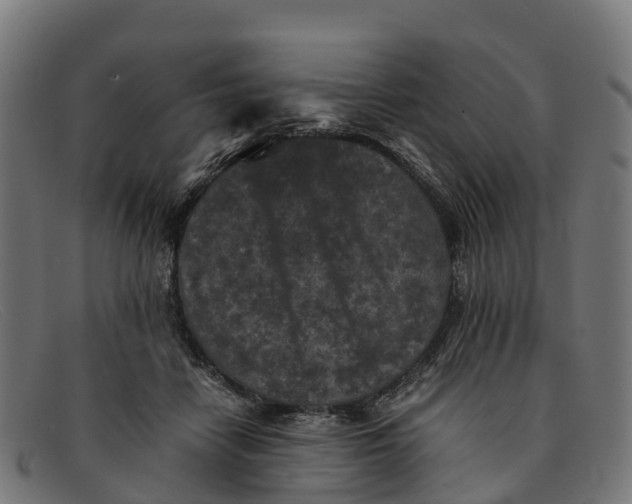 X0000091650458200709131453