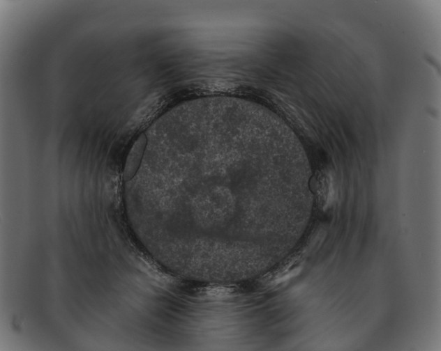 X0000091650462200709131454