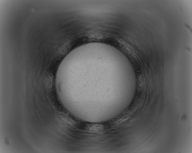 X0000091650463200709131454