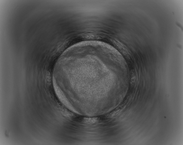 X0000091650469200709131454