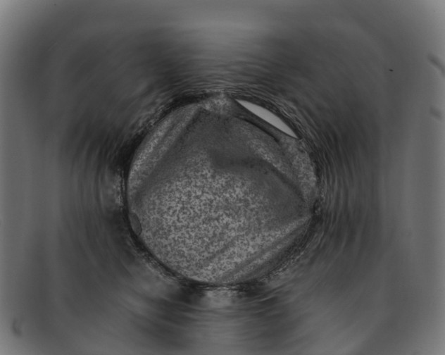 X0000091650470200709131454