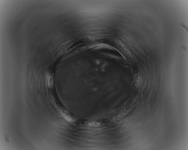 X0000091650471200709131454