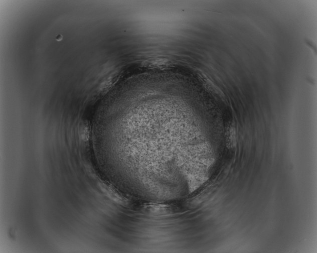 X0000091650472200709131454