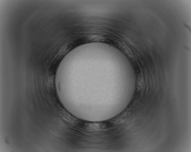 X0000091650473200709131454