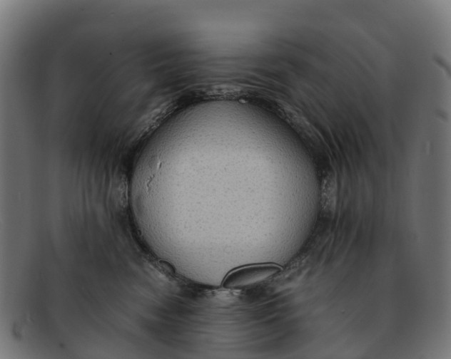 X0000091650474200709131454