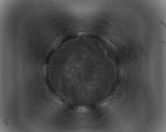 X0000091650475200709131454