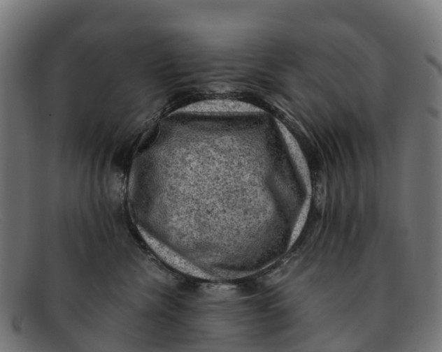 X0000091650476200709131454