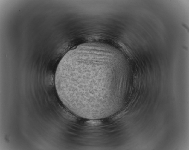 X0000091650477200709131454