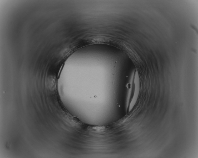 X0000091650478200709131454