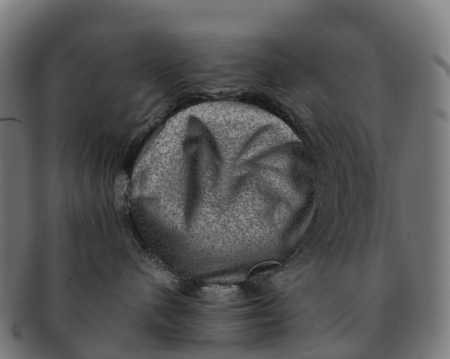 X0000091650480200709131454