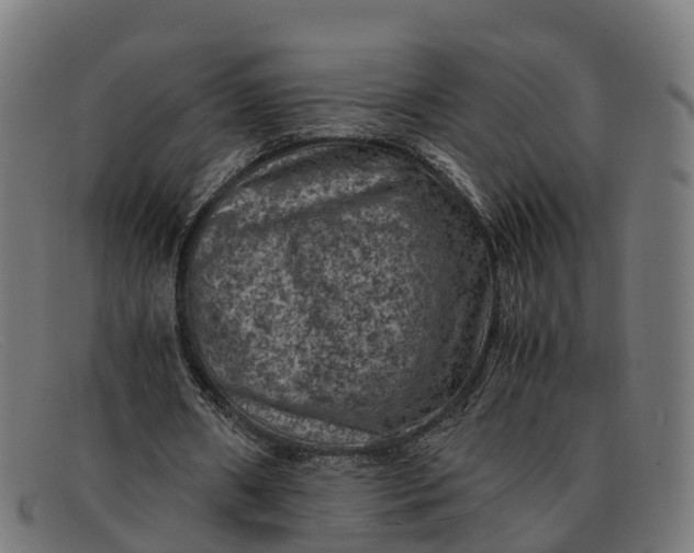 X0000091650482200709131453