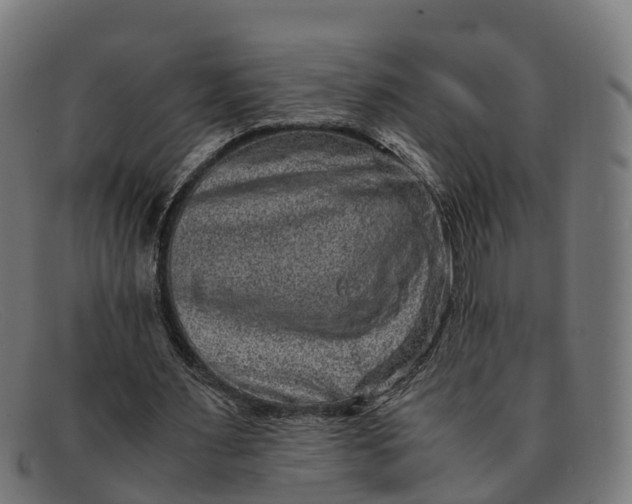 X0000091650483200709131453