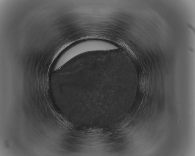 X0000091650484200709131453