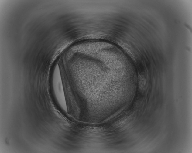 X0000091650486200709131453