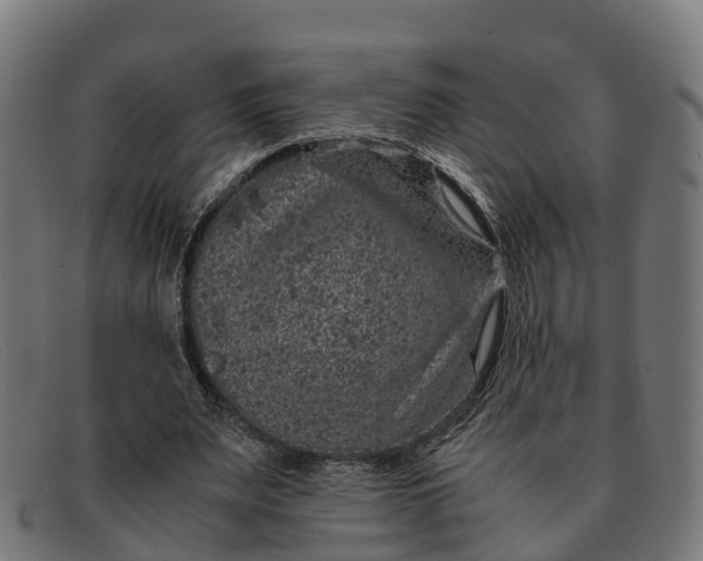 X0000091650487200709131453