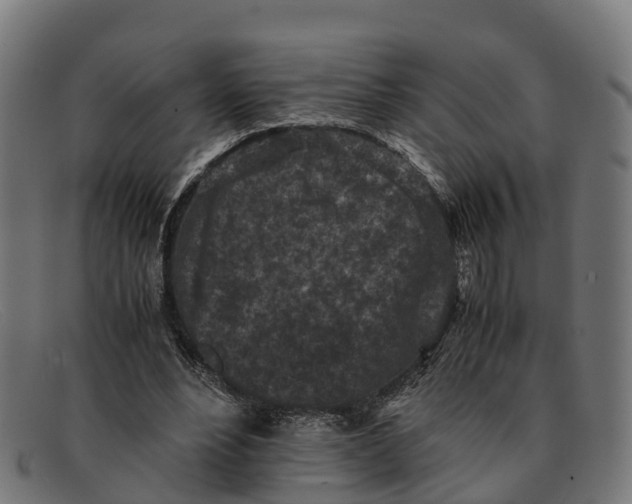 X0000091650488200709131453