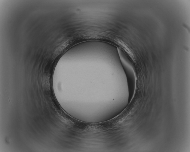 X0000091650489200709131453