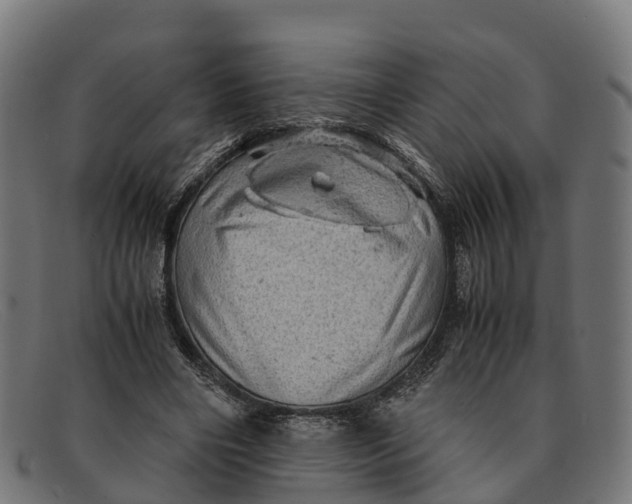 X0000091650490200709131453