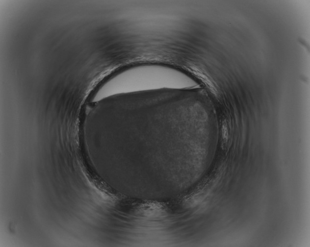 X0000091650492200709131453