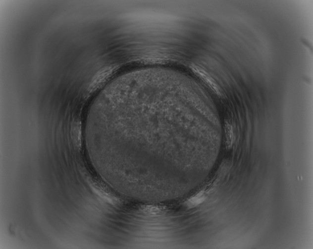 X0000091650494200709131453