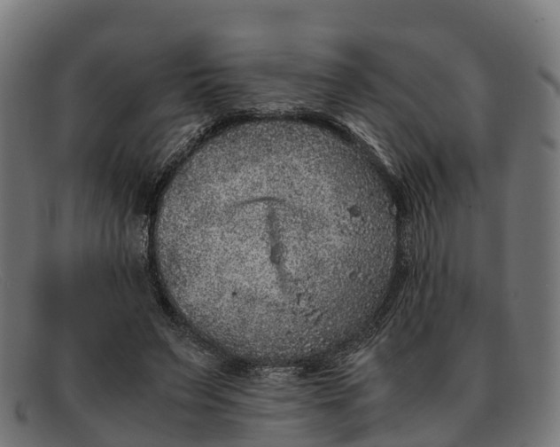 X0000091650495200709131453