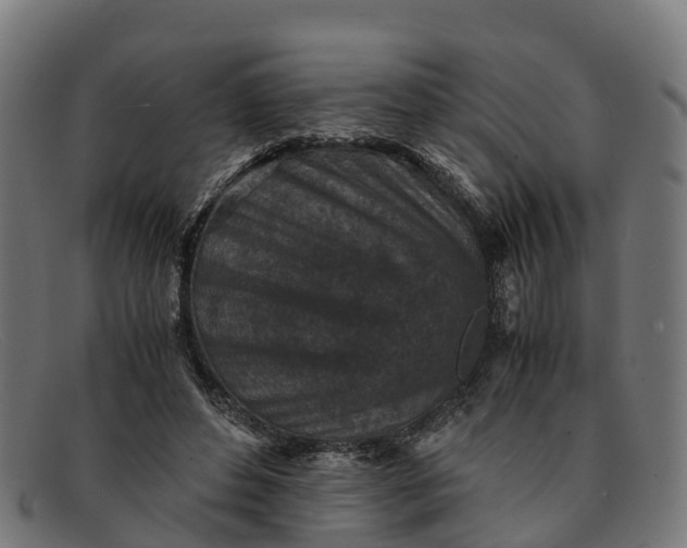 X0000091650496200709131453