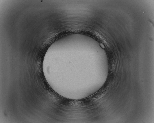 X0000091650497200709131453