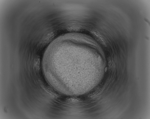 X0000091650498200709131453