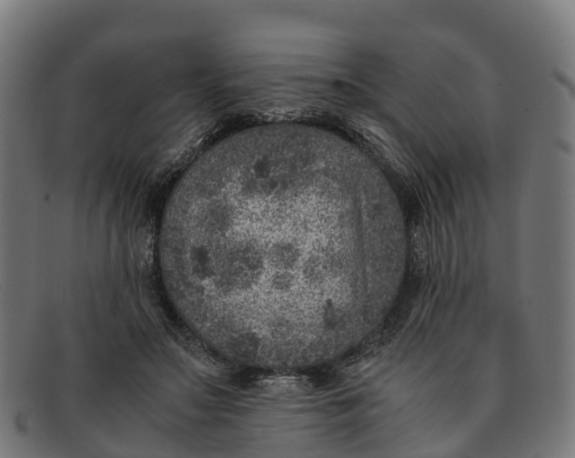 X0000091650499200709131453