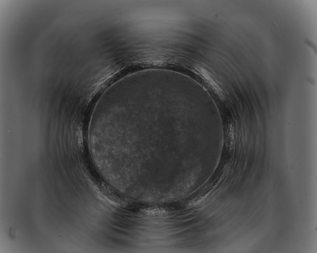 X0000091650500200709131453