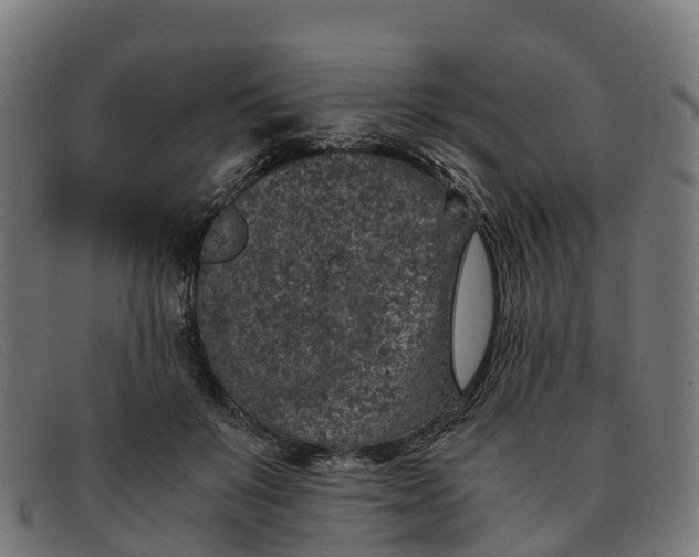 X0000091650503200709131453