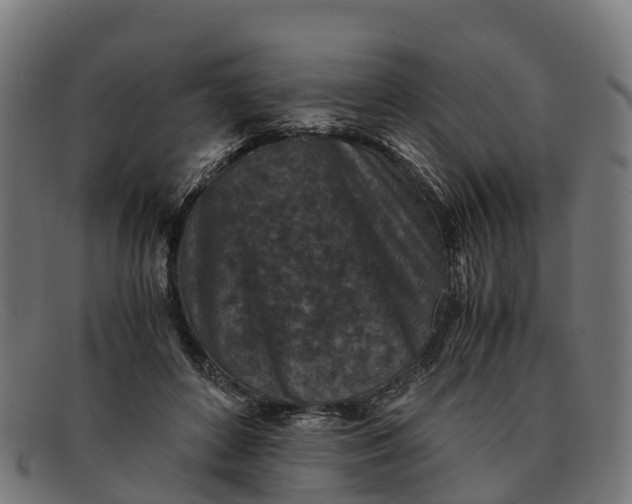 X0000091650504200709131453