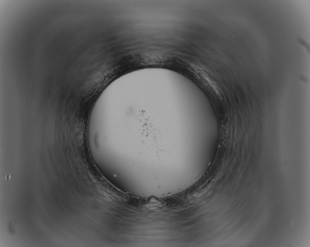 X0000091650505200709131453