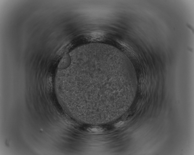 X0000091650506200709131453