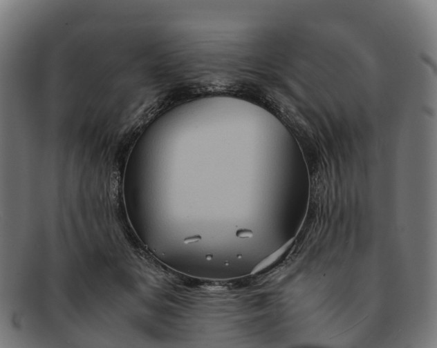 X0000091650509200709131453