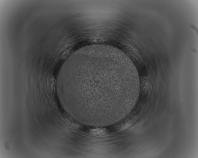 X0000091650511200709131453