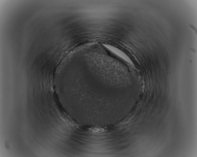 X0000091650512200709131453