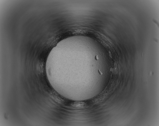 X0000091650514200709131453