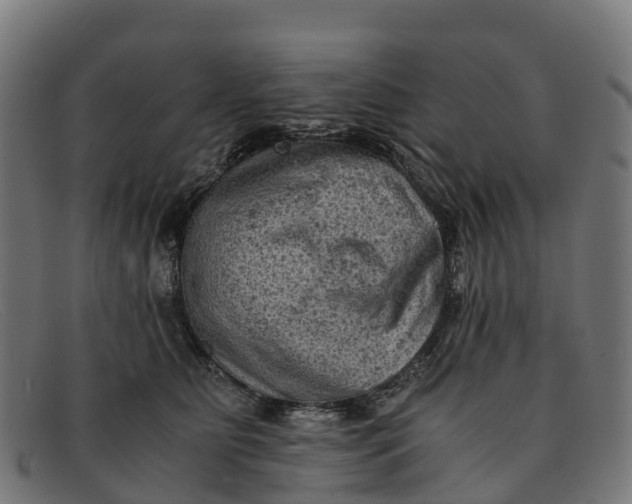 X0000091650515200709131453