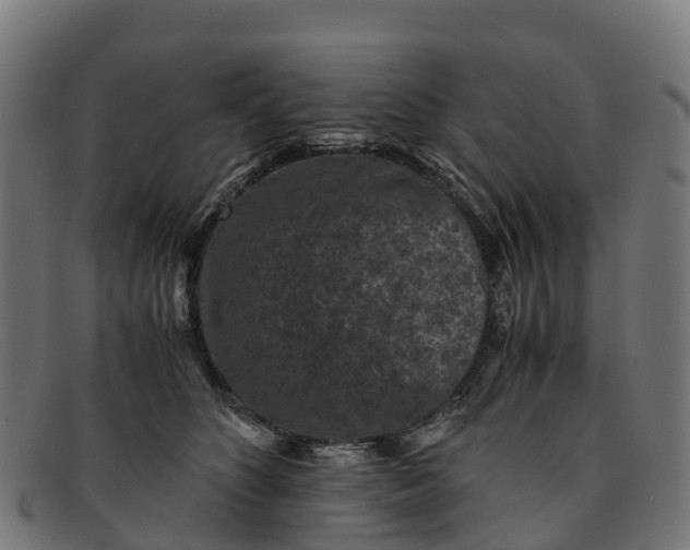 X0000091650516200709131453